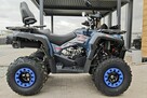Diabolini Inny  Diabolini Hammer 300 Pro Transport Raty Fvat Rozrusznik Automat - 3
