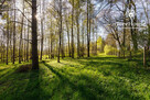Działka z widokiem na jezioro - 2