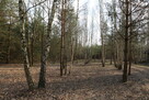Prawdziwa okazja! działka budowlana Nowy Prażmów