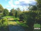 Działka Czarnowo gm. Zławieś Wielka - 2