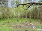 Działka rekreacyjna Debrzno, Jeziorna - 9