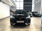 Cupra Formentor VAT 23% 1.5TSI 150KM DSG 2023 r., salon PL, serwisowany, gwarancja - 3