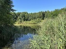 Piękna działka w otulinie Kampinosu