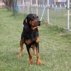 Lola wierzy, że przyjaciel jej też się należy! - 7