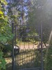 Działka ROD pod lasem (zewnętrzna) - 2