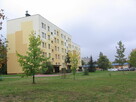 Mieszkanie 2-pokojowe w Kielcach do wynajęcia od zaraz - 10