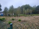 Działka budowlana 25 arów z warunkami zabudowy – Józefowo, g - 5