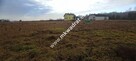 Podział 4 działek 8264m² Tłumy gm Mszczów MPZP 3MN - 4