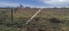 Podział 4 działek 8264m² Tłumy gm Mszczów MPZP 3MN - 9