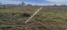 Podział 4 działek 8264m² Tłumy gm Mszczów MPZP 3MN - 11