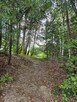 Sobolów, Wola Nieszkowska, działka 0,35ha+3a - 8