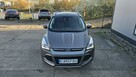 Kuga - 4
