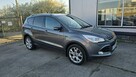 Kuga - 6