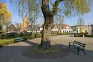 Wygodne mieszkanie w centrum Pobiedzisk z garażem - 3
