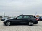 Mercedes C 180 Bezwypadkowy / Czujnik deszczu / Attention assist / FV marża - 7