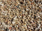 Kamień Otoczak Miodowy 8-16 mm żwir ozdobny żółty grys - 8