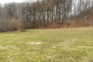 Działka przy lesie/ Park Krajobrazowy/dom lub inwestycja - 10