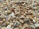 Kamień Otoczak Miodowy 8-16 mm żwir ozdobny żółty grys - 10