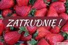 Zatrudnię na sezon pracowników do pracy na skupie owoców i w
