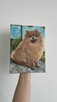 Ręcznie malowany portret – Szpic pomerański (Pomeranian) 18x - 7