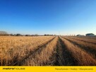 Działka budowlana w odległości 13 km od morza! - 6