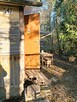 Działka ROD, Białystok - unikalna, prawie jak leśniczówka - 8