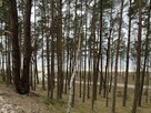 Mieszkanie Dźwirzyno gm. Kołobrzeg, al. Wyzwolenia - 13