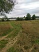 Działka 4211m2,Czarnowo, blisko jezioro,las. - 1