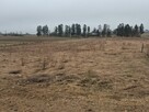 DZIAŁKA Z WZ | 1133m2 | ASFALT | BEZ POŚREDNIKÓW| Częstkowo - 3