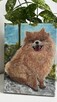 Ręcznie malowany portret – Szpic pomerański (Pomeranian) 18x - 14
