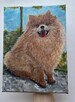 Ręcznie malowany portret – Szpic pomerański (Pomeranian) 18x - 2