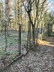 Działka ROD, Białystok - unikalna, prawie jak leśniczówka - 10