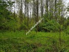 Korabiewice działka leśna - 4
