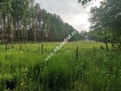 MPZP | Wszystkie media | Działki po  850m2 | Super - 4