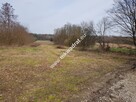 Borszyce gm. Kowiesy działka 11 128 m - 2