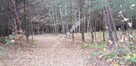 Malownicza działka siedliskowa 13.700m2 - 5