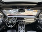 Alfa Romeo Stelvio, 2020 - 12