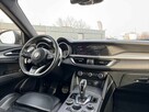 Alfa Romeo Stelvio, 2020 - 14