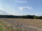 Nowa cena działki w Ciechocinie - 2