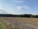 Nowa cena działki w Ciechocinie - 7