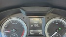 Škoda Octavia Dsg Duża Navi Bixenon - 10