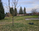 Mieszkanie Szprotawa, - 5