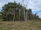 Działka budowlana 1821 m² przy lesie – os. Herby- Sieradz - 5