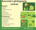 Koszenie i pielęgnacja zieleni