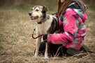Tomuś szuka swojego miejsca na zawsze – może właśnie u Ciebie - 4