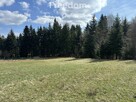 Działka w górach z linią lasu! - 7