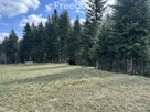 Działka w górach z linią lasu! - 9