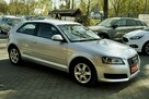 Audi A3 1,6TDI Klima, alu, Xenony, 2009r. - 12