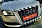 Audi A3 1,6TDI Klima, alu, Xenony, 2009r. - 13
