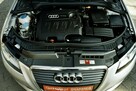 Audi A3 1,6TDI Klima, alu, Xenony, 2009r. - 14